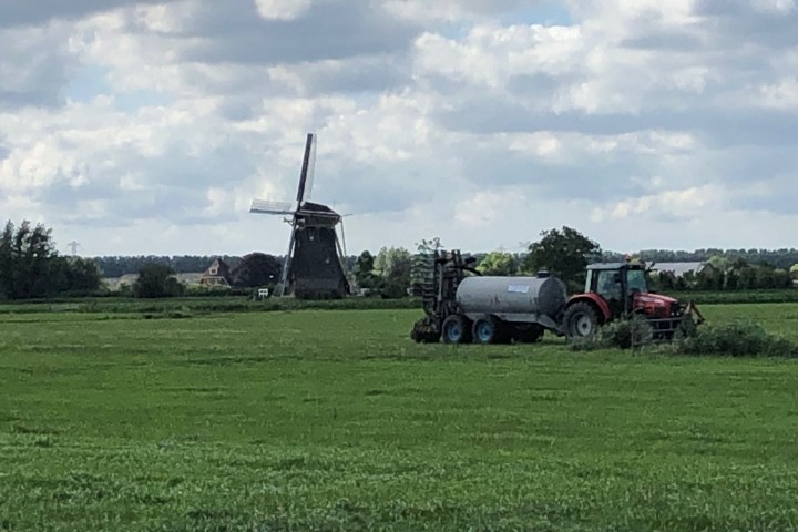 a close up of a green field