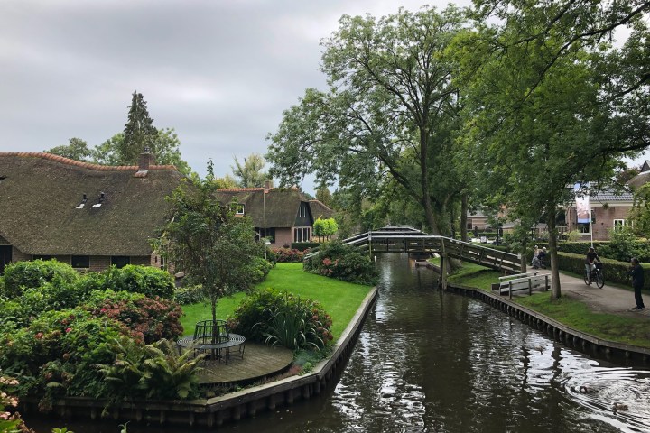 a bridge over a body of water surrounded by trees