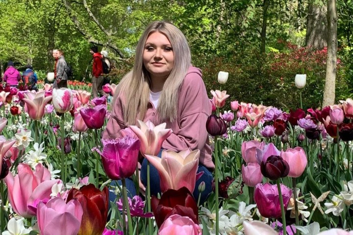 a vase filled with pink flowers