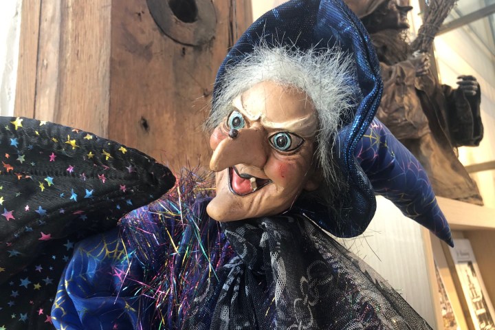 a man wearing a costume