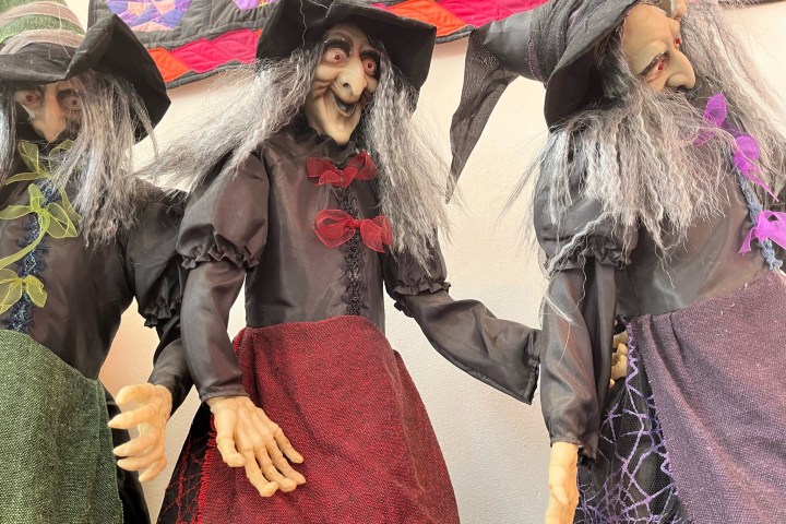 a group of people wearing costumes