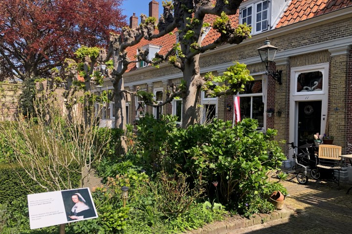 a house with bushes in front of a building