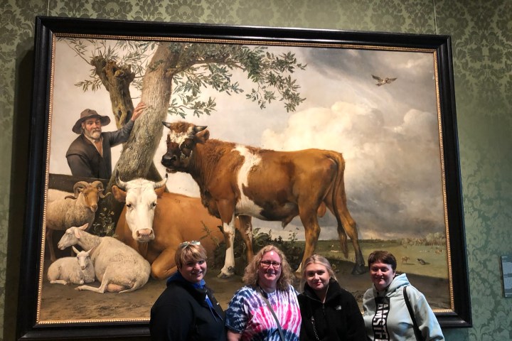 a group of people standing in front of a cow