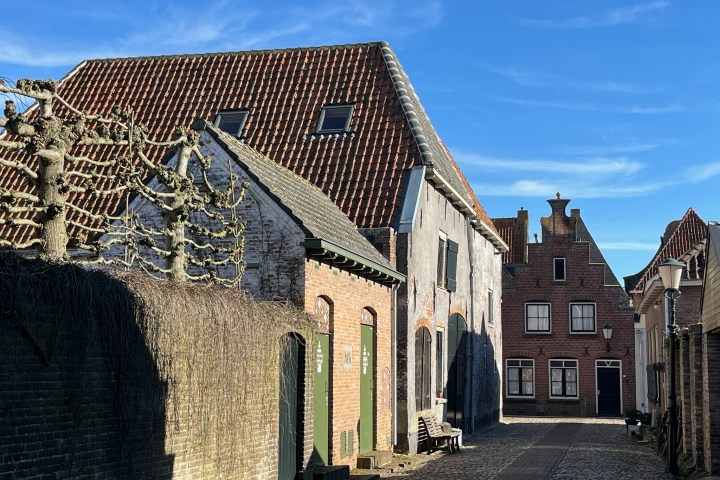 Narrow cobblestone street with brick buildings and pruned trees under a clear blue sky.