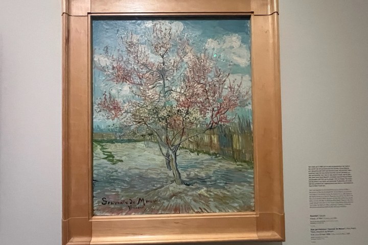 Framed painting of a blossoming tree on display, with clouds in the sky.
