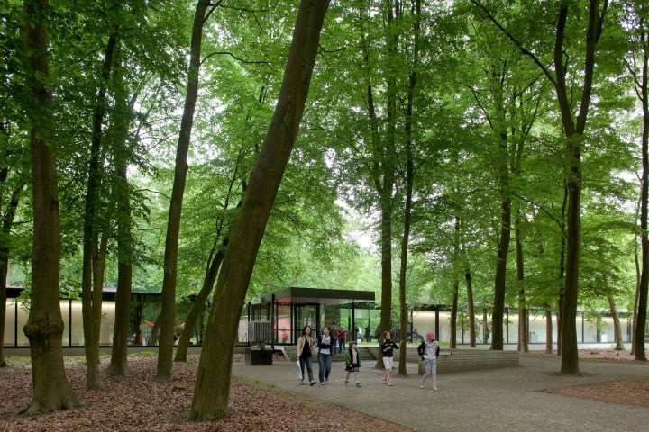 People walking in a wooded park with a modern building in the background.