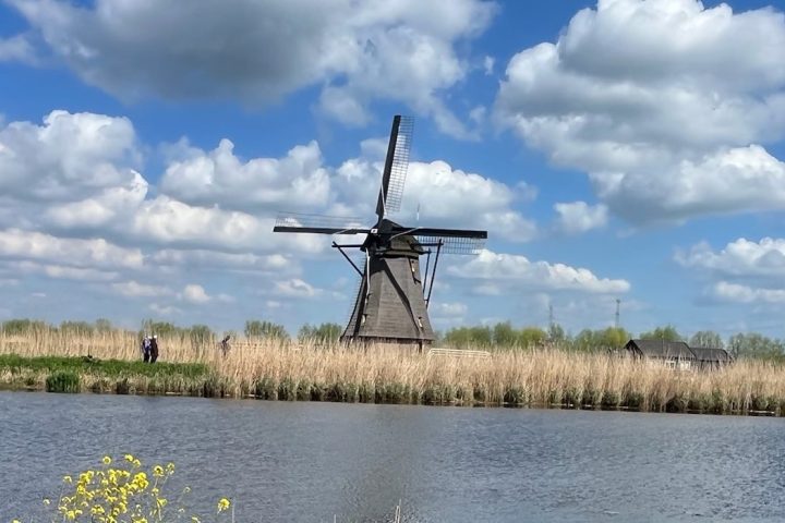 Swan in a canal with a windmill and cloudy sky in the background.